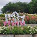 송이공원 화장실 이미지