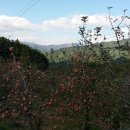 태백산경로당 이미지