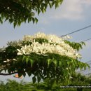 (주)대길 이미지