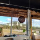 에코승마아카데미 이미지