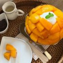 불티나는맛집 이미지