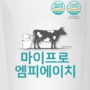 엠피에이치
