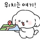 메리왈 이미지