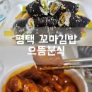 하하분식 | 세교동 꼬마김밥 맛집 평택 으뜸분식 포장 후기