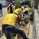 행정복지센터 앞 이미지