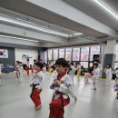 용인대 백호 태권도장 이미지