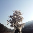 성불산자연휴양림 이미지