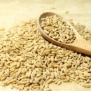 끌림푸드 이미지