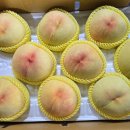 반디농원