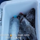 광어랑우럭이랑 이미지