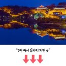 가을의 마지막 선물… 11월 단풍 절정 명소로 떠나는 길 이미지