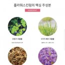 플라워화장품 - 송파구 바람드리길 48 | 플라워화장품