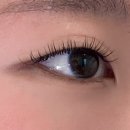 스피드라인 | 문정동 속눈썹 | 페이스라인 스피드부분 대상 속눈썹 연장 + 샴푸래쉬