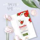 블루밍제주