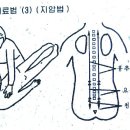 알레르기성 비염 무엇인가 이미지