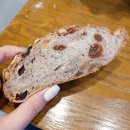 하쯔 베이커리 | 봉천동 이편한세상 돌체베이커리 건강빵 맛집이네