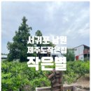 제주도작은집 작은별 | 제주도 서귀포 독채 감성 숙소 제주도작은집 작은별 숙소 후기