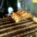 굴화스크린 이미지