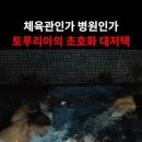 토푸리아는 원래 좀 사나봐요? 이미지