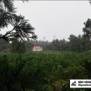 영운농장 이미지