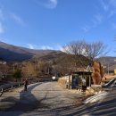 보현산식당 이미지