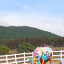 엠버리조트 이미지