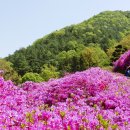 예곡 | 완주 화산꽃동산 가는길 전주 근교 철쭉 명소 주소 주차장 안내
