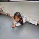 경희대 올림픽 태권도장 이미지