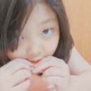 갯바위회수산