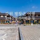 수림대농장 네이버블로그