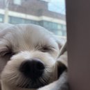 보스톤탑치과의원 이미지