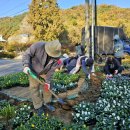 양사면-3 이미지