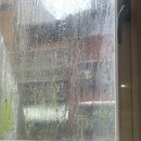 밀크브로(Milk Bro) | ✈️ 대만여행(2) 패밀리마트, 딘타이펑, JUMENG, caseura光隅空間🤳, Snow Bro🍨, 타이베이101, 키키레스토랑