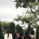 제쭈