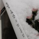 단독]하늘양 살해 교사, &#34;화장실 간다&#34;며 무단외출 뒤 흉기 구입 이미지