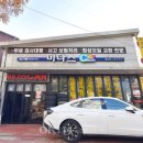 미다스카 이미지