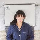 다원솔루션 이미지