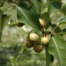 원산농장 이미지