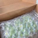 퍼털그라운드 이미지