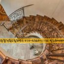 싸이러스 이미지