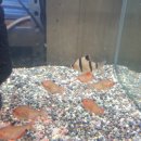 베스트피쉬 수족관 이미지