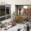 중정 이미지