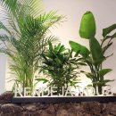 빵카페 그랑팡 이미지