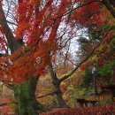 농공단지길 이미지