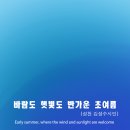생일날-Birthd Daum카페