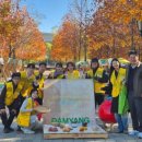 그린마켓 이미지