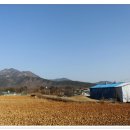 봉황산 입구 이미지