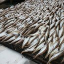 대양여관 이미지