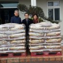 표선리-20 이미지