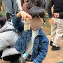 애나농장 | 비오는 제주::스위트몽키 아이랑 바나나따기체험, 제주아이랑놀이터카페추천